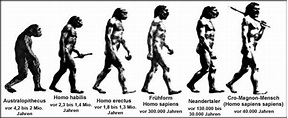 Evolution des Menschen – Vom Urmensch zum Homo sapiens sapiens