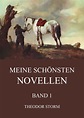 Storm Meine schönsten Novellen, Band 1 • Meisterwerke der Literatur ...