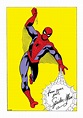Lovely Steve Ditko Spider-Man Pin-up (Iss. 3, 1963) : Spiderman