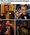 50+ Funny Leonardo Dicaprio Memes from Django Unchained