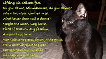 The Cat And The Moon a poem by W B Yeats - YouTube