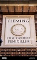 Penicillin hospital -Fotos und -Bildmaterial in hoher Auflösung – Alamy