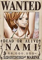 ONE PIECE WANTED: Dead or Alive Poster: Nami ( Official Licensed ...