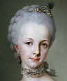 Archduchess Maria Josepha of Austria | Rococo art, Art, Portraiture