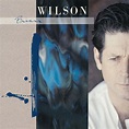 Brian Wilson: Amazon.co.uk: Music