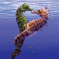 The Ultimate Proof That Sea Horses Are The Cutest Creatures – Page 7 ...