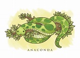 Ejemplo Verde Del Vector De La Historieta De La Anaconda De La | Images ...
