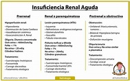 Insuficiencia Renal Aguda: Clasificación etiológica - Chuletas Médicas