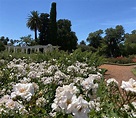 Qué ver en el Rosedal de Palermo de la Ciudad de Buenos Aires