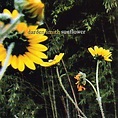 Sunflower: Darden Smith: Amazon.in: Music}