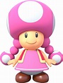 Toadette - Marioverse Wiki