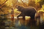 Elephant (2020) | Where to Stream and Watch | Decider