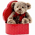 Valentine Glamorous Stuffed Plush Teddy with Red Heart Gift Box ...