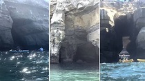 Siete cuevas marinas a visitar en La Jolla, California: aventura, mitos ...