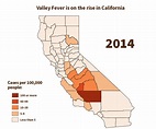 Valley Fever Basics