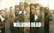Programa de televisión, The Walking Dead, Reparto, Fondo de pantalla HD ...
