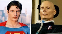 Christopher Reeve Accident / Christopher Reeve Is Severely Injured ...