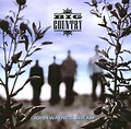 Big Country – John Wayne's Dream (EDC Blackburn Ltd pressing, CD) - Discogs