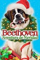 Pelicula Beethoven: una aventura navideña (2011) online o Descargar HD