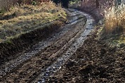 Forest Muddy Mud Path Off-road Track Stock Image - Image of rain, rural ...
