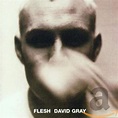Flesh - Gray,David, Gray,David, Gray,David: Amazon.de: Musik-CDs & Vinyl