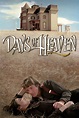 Days of Heaven (1978) - Posters — The Movie Database (TMDB)