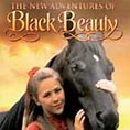 The New Adventures of Black Beauty Season 1 Air Dates