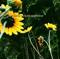Sunflower: Darden Smith: Amazon.fr: CD et Vinyles}