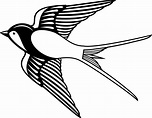 Coloring page of a swallow