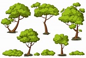 Cartoon trees set | Pre-Designed Illustrator Graphics ~ Creative Market