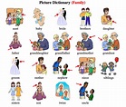Click on: FAMILY VOCABULARY REVISION