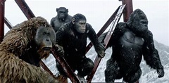 Five new cast members join the movie KINGDOM OF THE PLANET OF THE APES ...