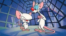 "Pinky y Cerebro" y "Animaniacs" vuelven a la televisión | Spoiler ...