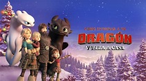 How to Train Your Dragon: Homecoming (2019) - AZ Movies
