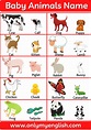40+ Animals and Their Babies | Animals Baby Name