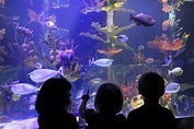 Great Lakes Aquarium - Lake Superior Circle Tour