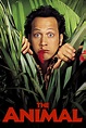 ‎The Animal (2001) directed by Luke Greenfield • Reviews, film + cast ...