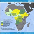Yellow Fever Map Africa – Topographic Map of Usa with States