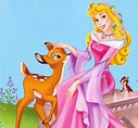 Princess Aurora - Disney Princess Photo (6332936) - Fanpop