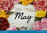 Hello May Text and Flowers Colorful Border Frame on Wooden Background ...