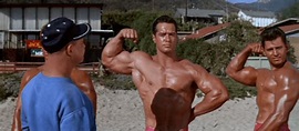 Muscle Beach Party ~ Complete Wiki | Ratings | Photos | Videos | Cast