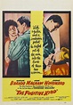 Piel de serpiente (1960) - FilmAffinity