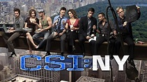 CSI: NY (TV Series 2004-2013) — The Movie Database (TMDB)
