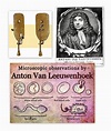 Living the Dreamsicle: September 17 - Anton van Leeuwenhoek and bacteria