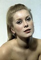 Picture of Catherine Deneuve