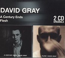 David Gray A Century Ends / Flesh UK 2-CD album set — RareVinyl.com