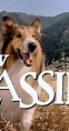 The New Lassie (TV Series 1989–1992) - Full Cast & Crew - IMDb