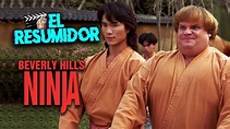 Un Ninja en Beverly Hills en 10 Minutos | Resumen - YouTube