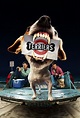 Terriers - Série (2010) - SensCritique