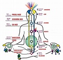 What Is the Physiology of Kundalini and Chakras and How Kundalini ...